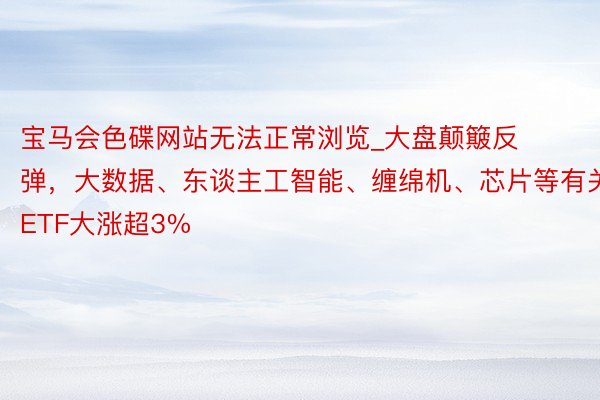 宝马会色碟网站无法正常浏览_大盘颠簸反弹，大数据、东谈主工智能、缠绵机、芯片等有关ETF大涨超3%